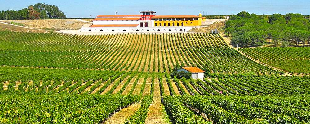 Bairrada Wine Region