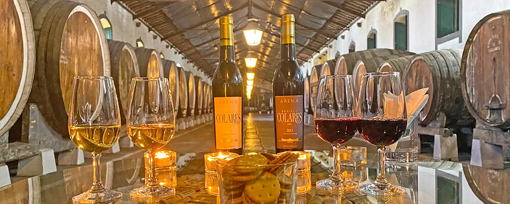 Wine tasting in Colares