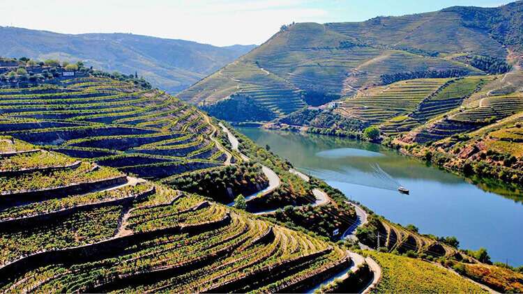 Port and Douro Wine Region