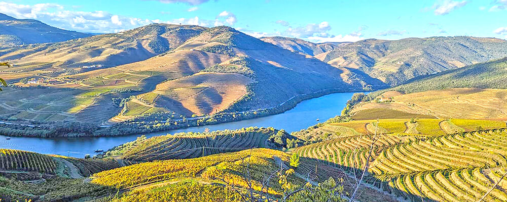 Douro Valley vineyards