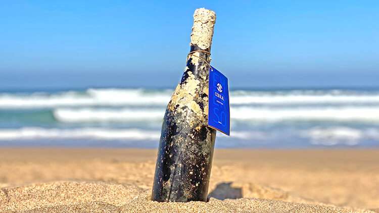 Dive and Taste the Sea wines and food of Alentejo