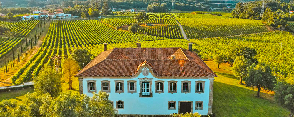 Vinho Verde vineyards